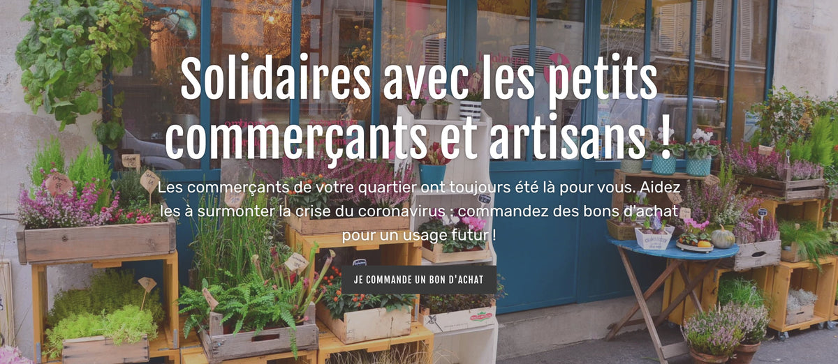 Communauté d'agglomération Roissy Pays de France – Soutien-Commercants ...