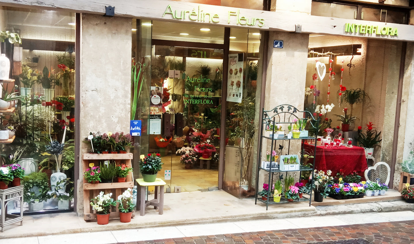 Bon d'achat chez Aureline fleurs / Fleuriste